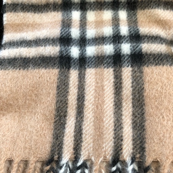 Murano 100% Cashmere Scarves in Camel and Black - Picture 2 of 7